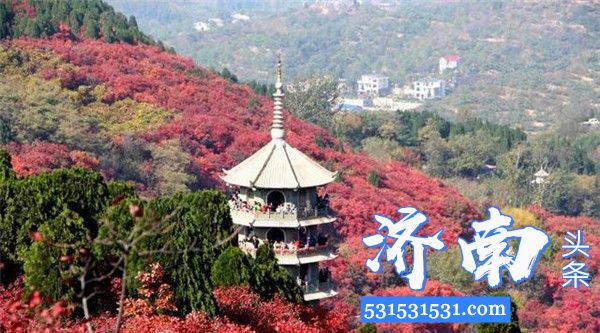 济南市文化和旅游局：五一期间景区接待游客量不得超过核定最大承载量的30%