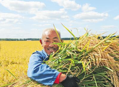 粮食生产连年丰收 产量稳定在1.3万亿斤以上 全面建成小康社会