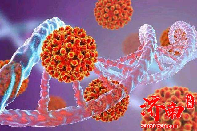 中国科技部：病毒变异不大，属于正常范围的变异的积累，没有对疫苗研发造成实质性的影响