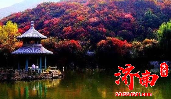 济南不仅是国内首批的优秀旅游城市，而是龙山文化的发源地