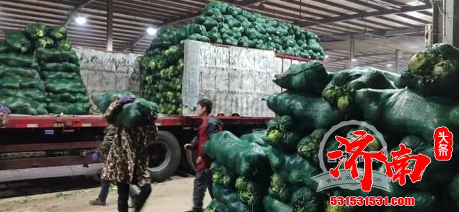 济南市商务局：6500吨储备肉、1.5万吨储备菜备好