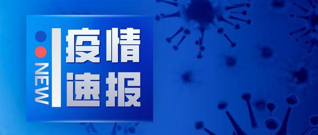 31个省区市报告新增确诊病例33例，其中境外输入病例16例，本土病例17例