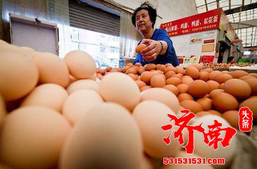 山东阳谷：鸡蛋价格涨幅较大 猪肉价格略涨