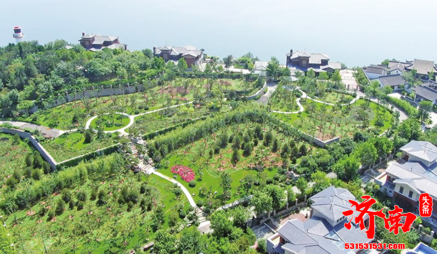 济南市将重点实施黄河生态风貌带打造行动 重点建设森林公园 彰显自然生态 兼顾景观效果