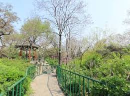济南中山公园将扩大一倍 提供更舒适便利游园体验