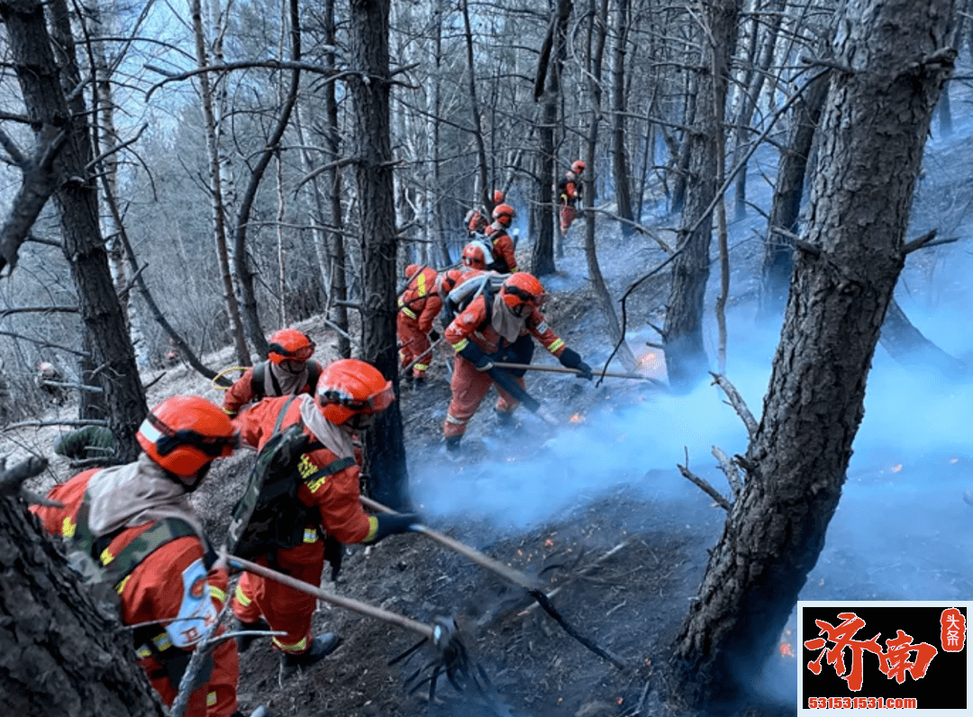 济南《森林防火条例》规定 野外违规用火最高可罚5万元