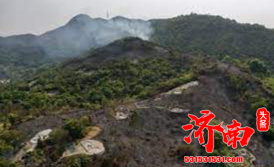 【森林防火 人人有责】济南市清明节期间森林防火形势总体稳定 四项举措筑牢森林“防火墙”