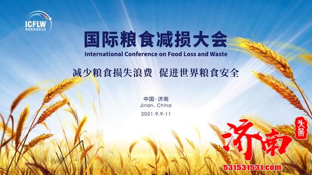 9月9日至11日 国际粮食减损大会将在山东济南举行