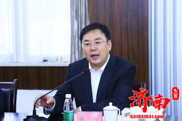 中国林业集团有限公司原总经理林展涉嫌严重违法被查