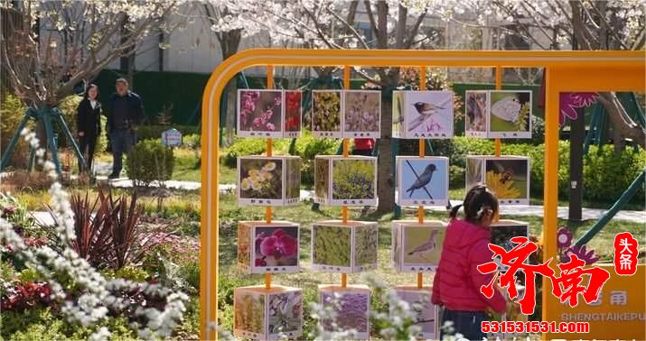 济南市首个“共建花园”——童趣园正式开园”开园”开园