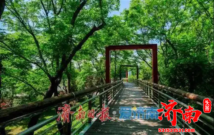 济南地铁4号线、6号线东段及8号线三条新线路同步开通运营