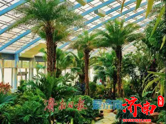 济南地铁4号线、6号线东段及8号线三条新线路同步开通运营