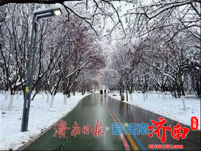 济南地铁4号线、6号线东段及8号线三条新线路同步开通运营