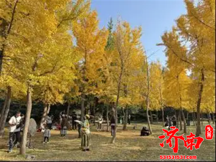 济南地铁4号线、6号线东段及8号线三条新线路同步开通运营