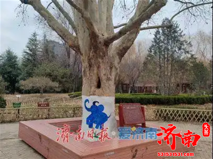 济南地铁4号线、6号线东段及8号线三条新线路同步开通运营