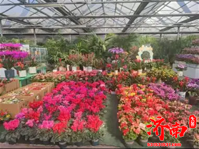 济南地铁4号线、6号线东段及8号线三条新线路同步开通运营